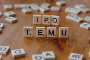 Manipal Payment IPO