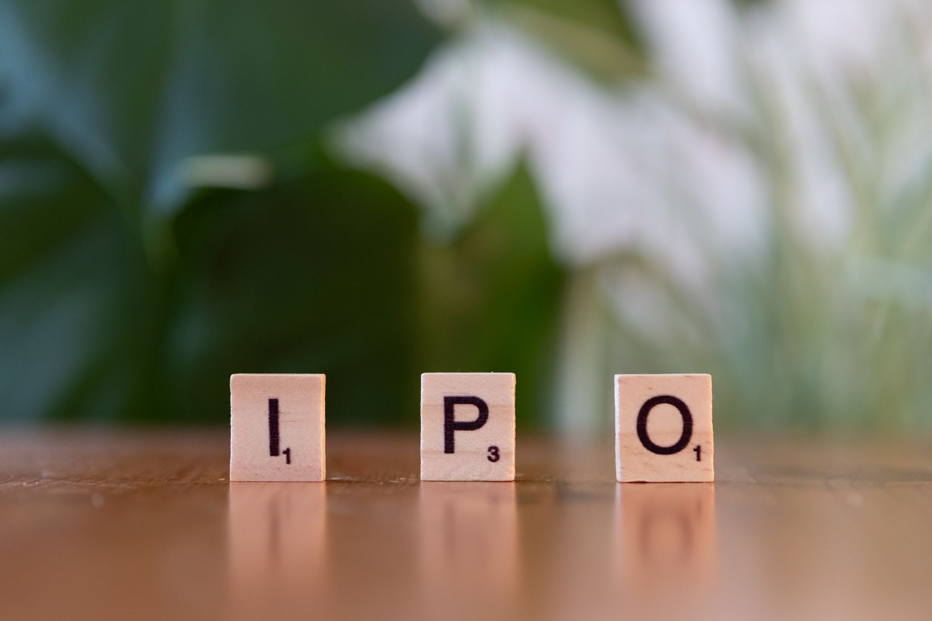 NSE IPO key things