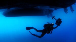 Knowledge Marine record high